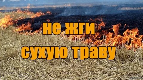 Не жги сухую траву!